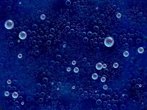 bubbles480.jpg