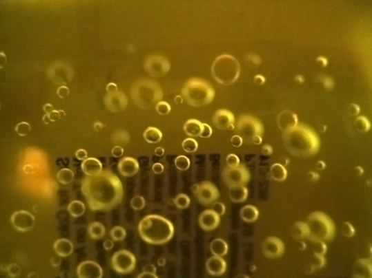 bubbles_1.jpg